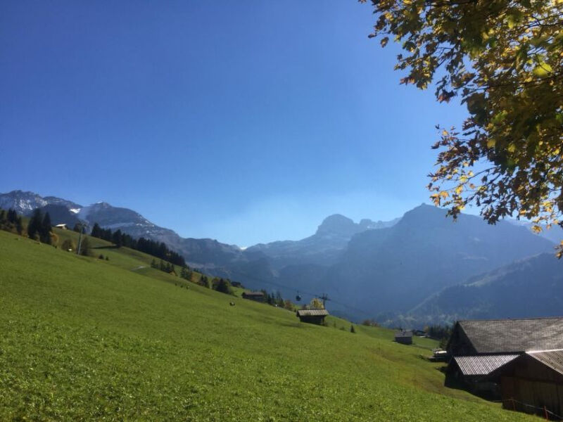 Am Meieli