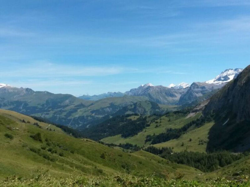 Am Meieli