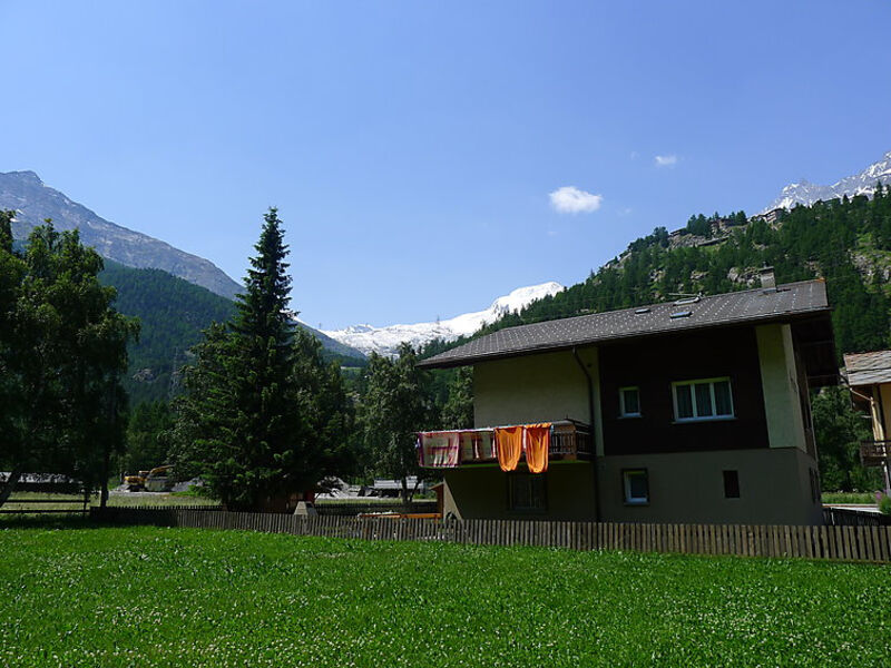 Amara