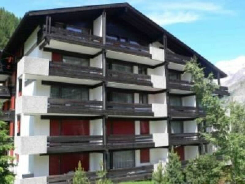 Amici 20