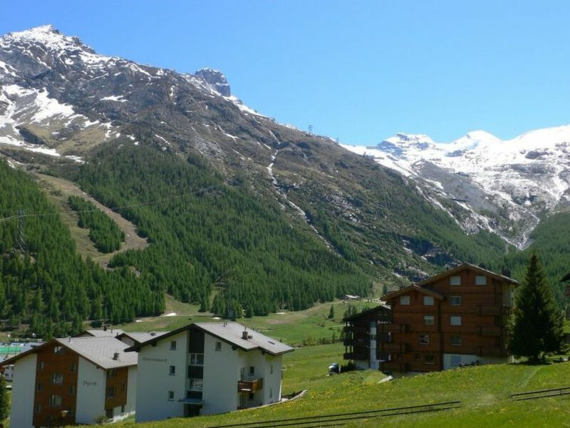 Amici 20