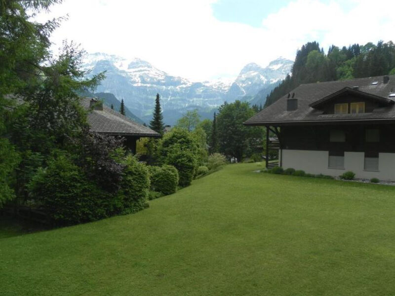 Ammerten # 1