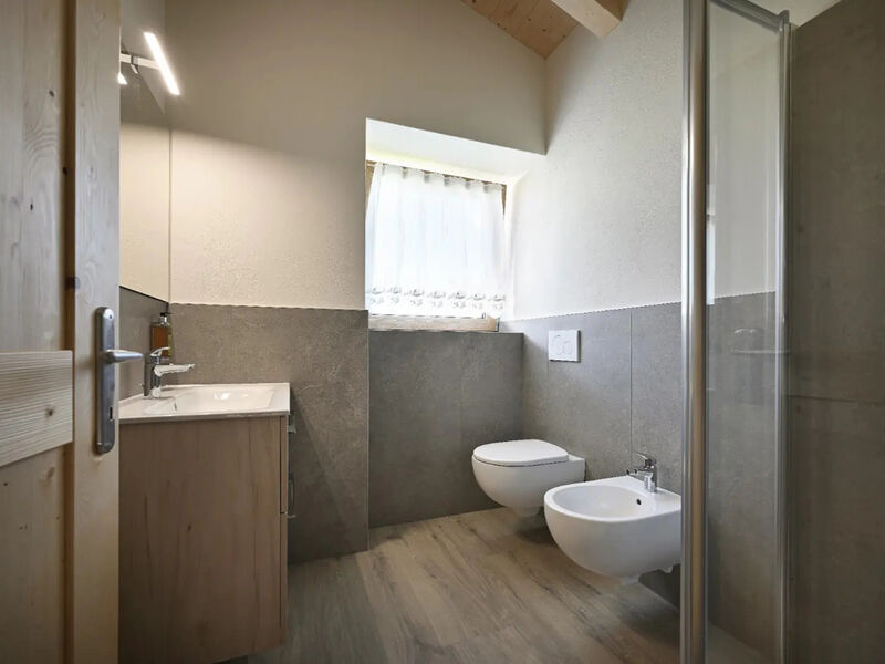 Apartmány Alpinea