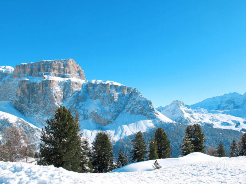 Appartementhaus El Ladinia (ENA538)