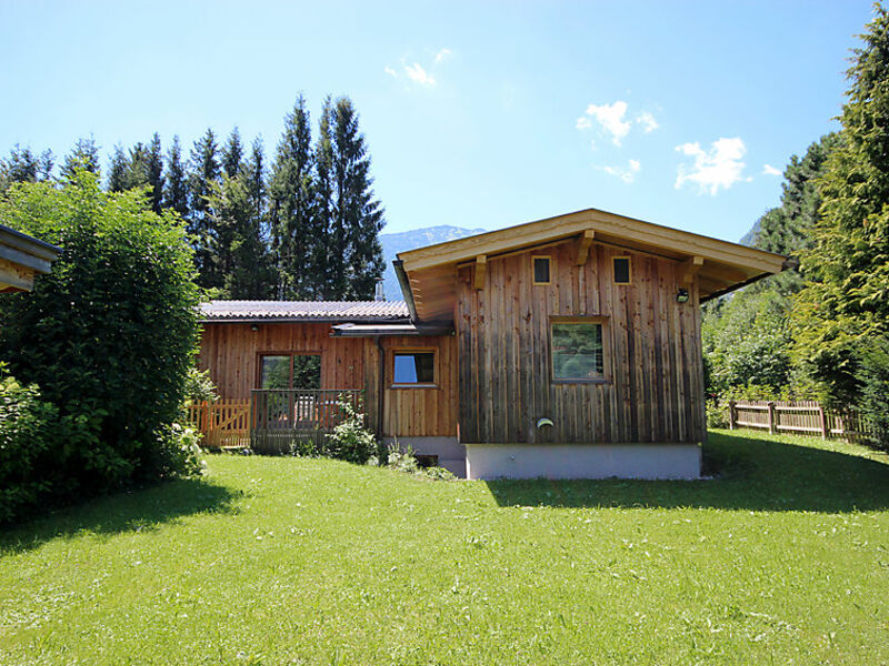 Bärkopf