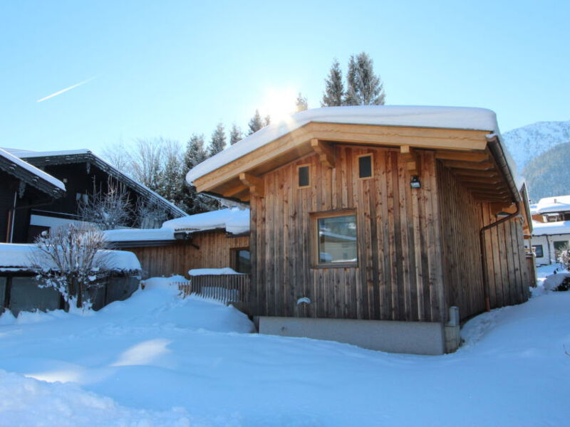Bärkopf