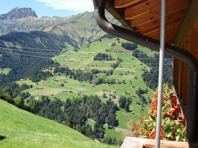Bauernhaus Uf dr Flue