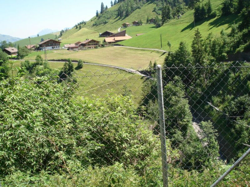 Bauernhaus Uf dr Flue