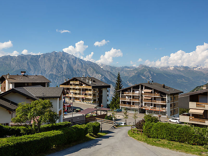 Bellevue