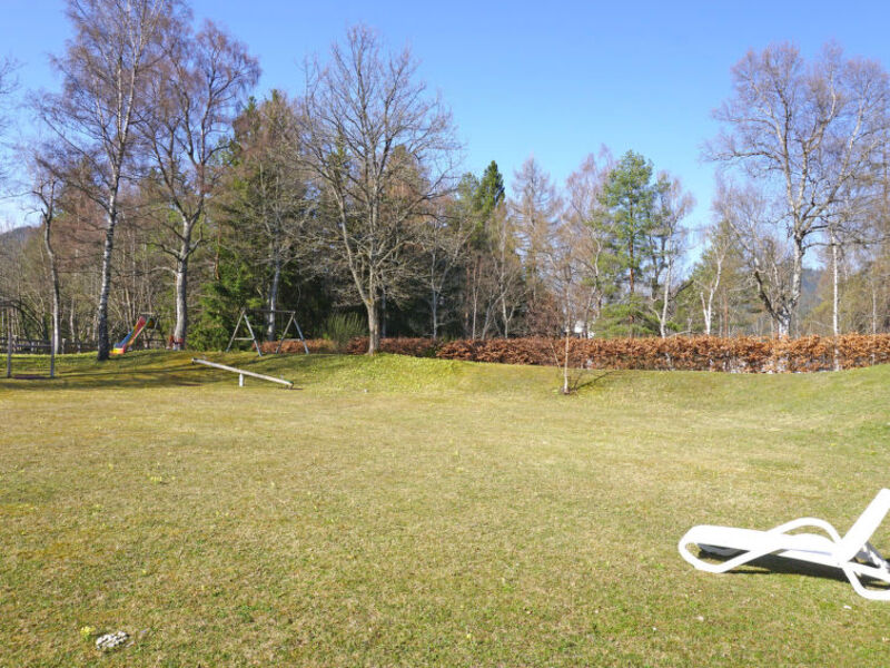 Birkenwald