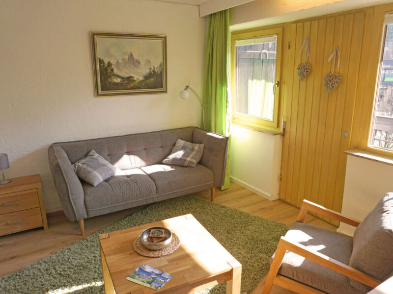 Birkenwald