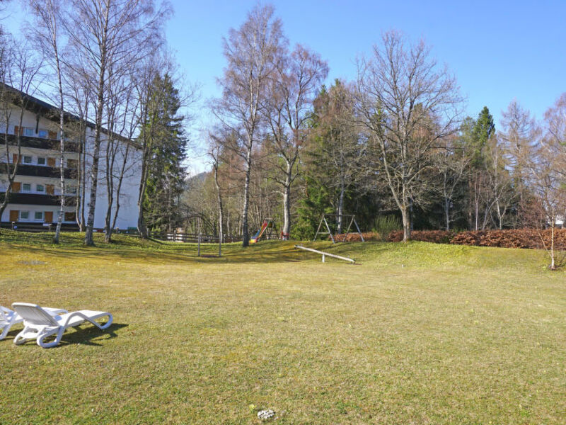 Birkenwald