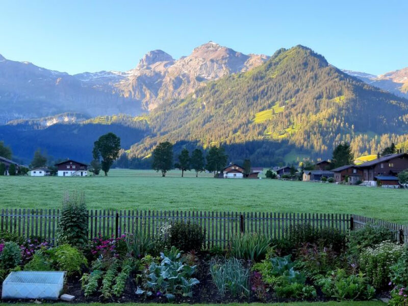 Bühlerhof