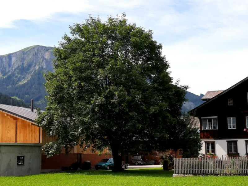 Bühlerhof