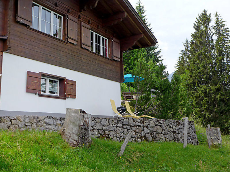 Burehüsli