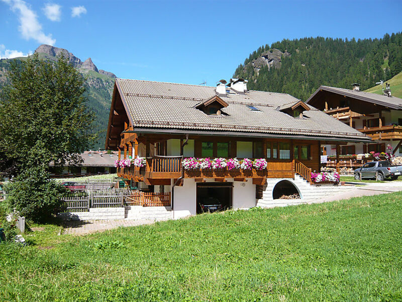 Cesa Galaldriel
