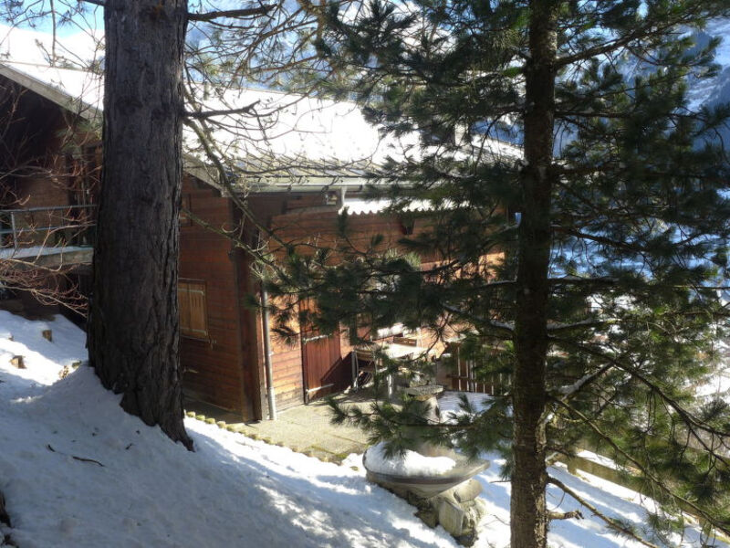 Chalet Ahorn