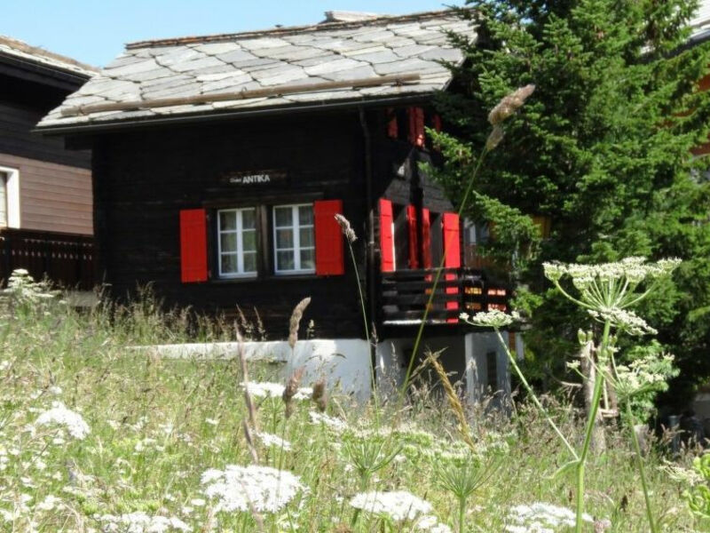 Chalet Antika (015401)