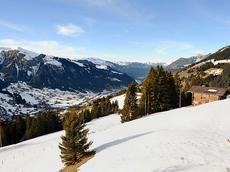 Chalet Bühlweidli