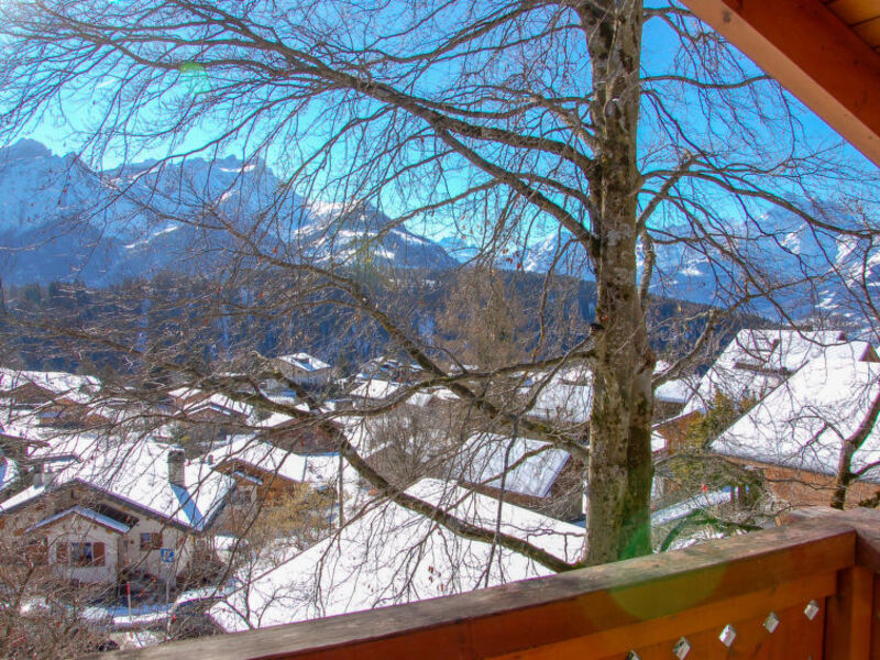Chalet Chardonneret