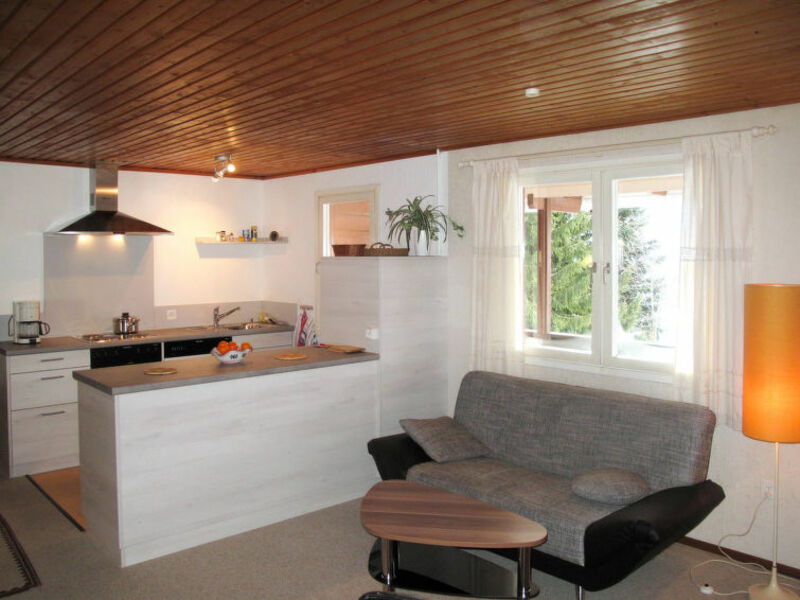 Chalet Crap Grisch (LAX554)