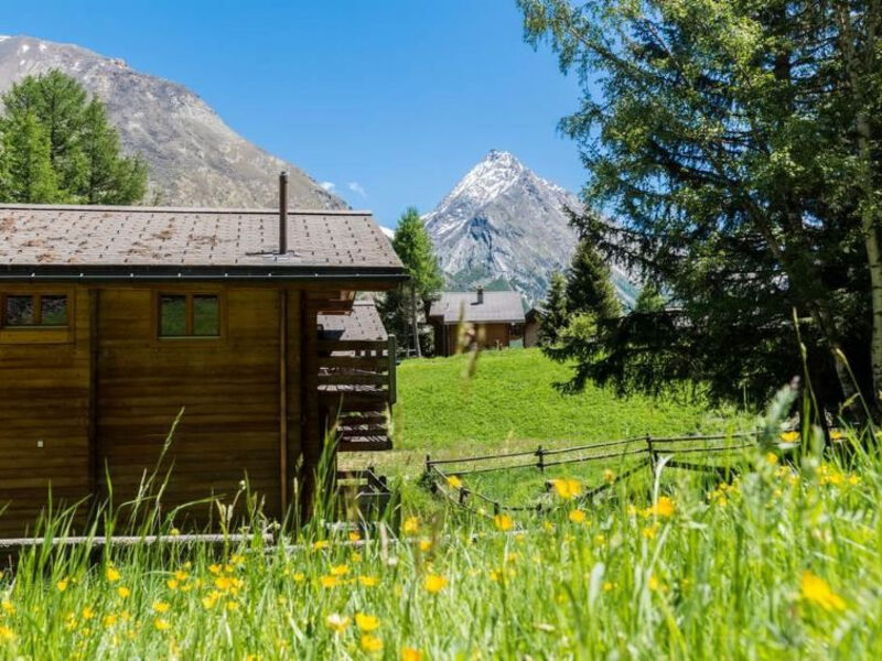 Chalet Fasan