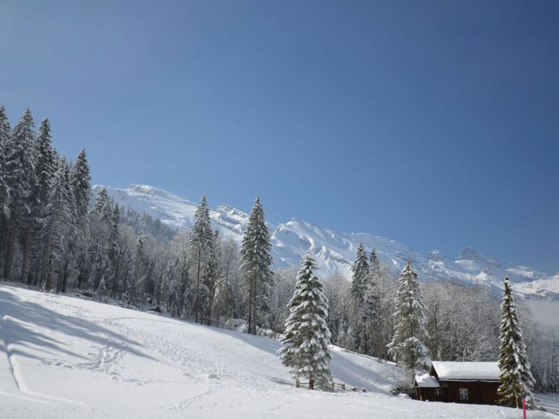 Chalet Heureka-Horbis