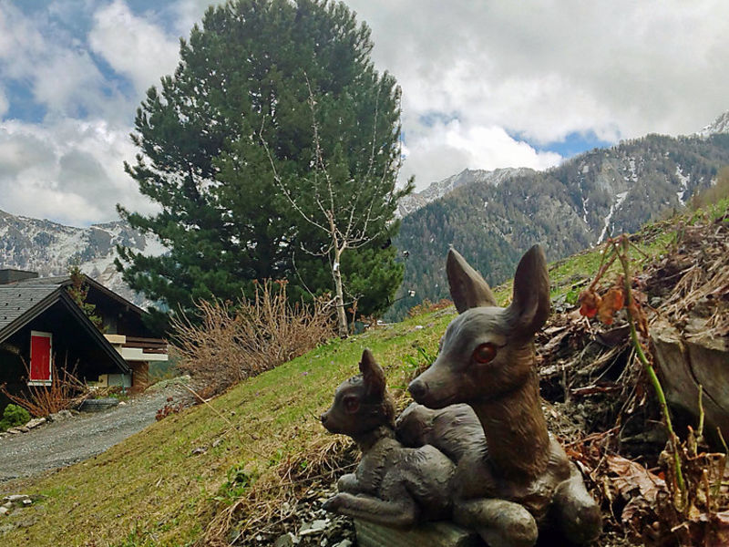 Chalet le Refuge