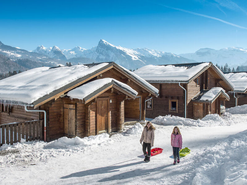 Chalets Bois de Champelle (MRI100)