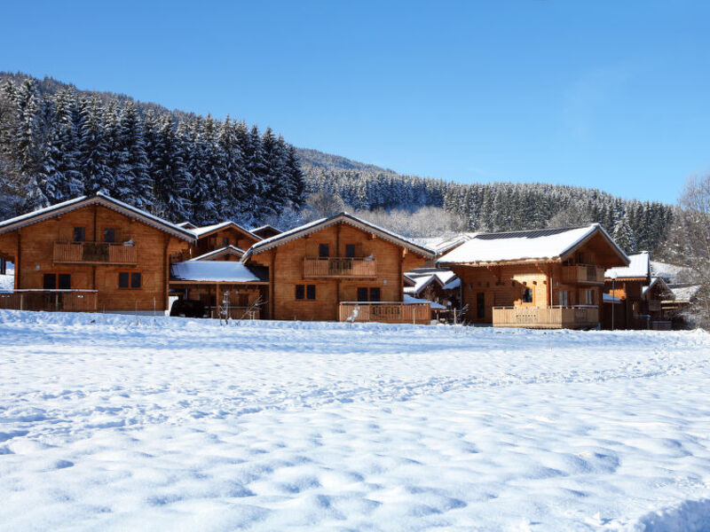 Chalets Bois de Champelle (MRI100)