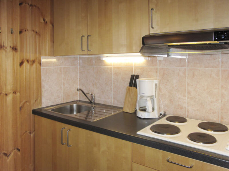 Chalets sur Baselgia (SAV100)