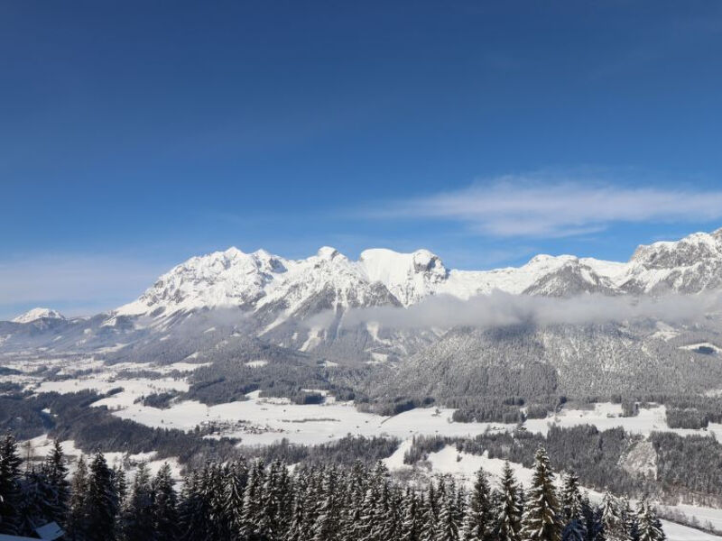 Dachsteingasse