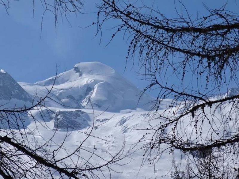 Domblick (011201)