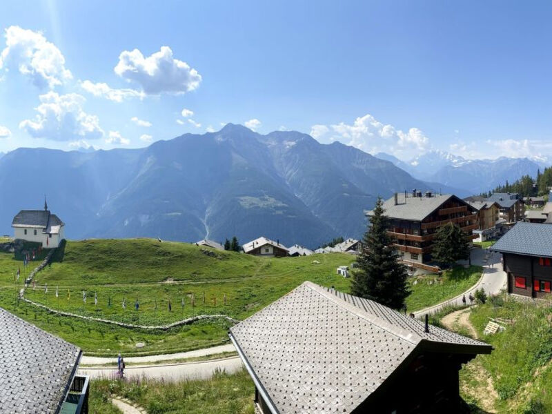 Fazi (Löwenzahn)