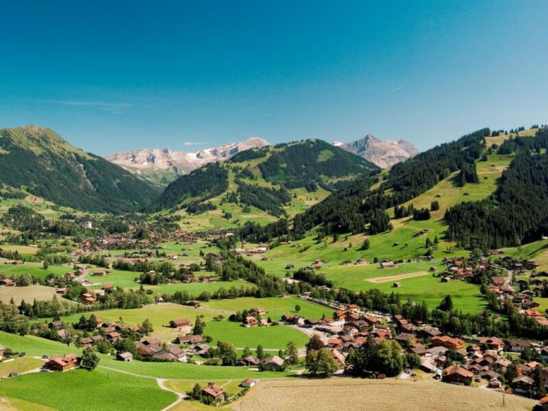 Fluehüsli