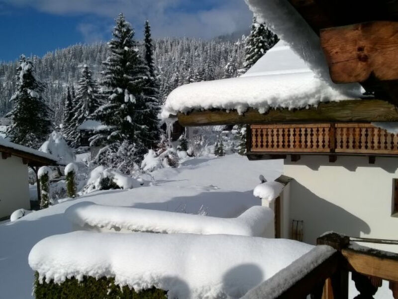 HAUS 1