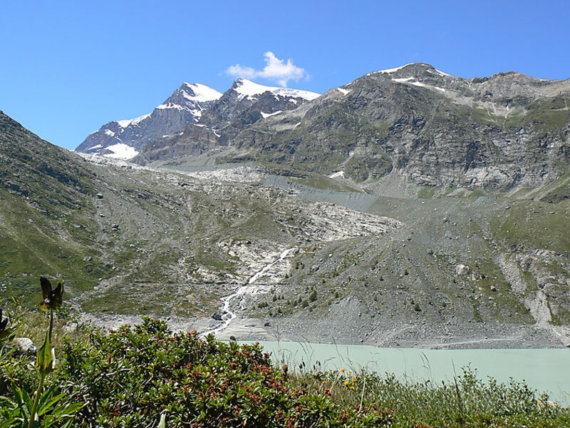 Haus Alpenstern, Wohnung Aelpi