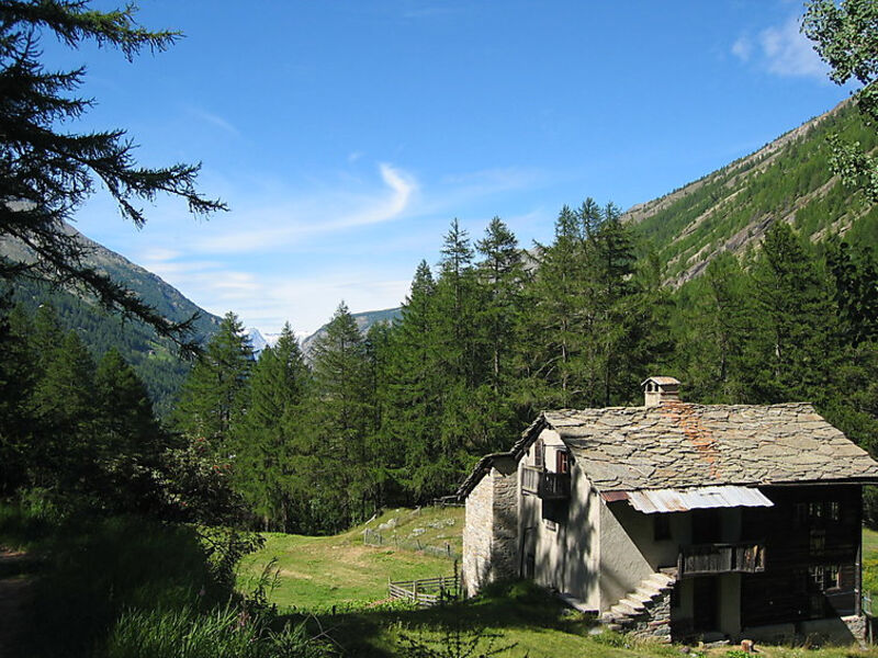 Haus Alpenstern, Wohnung Trift