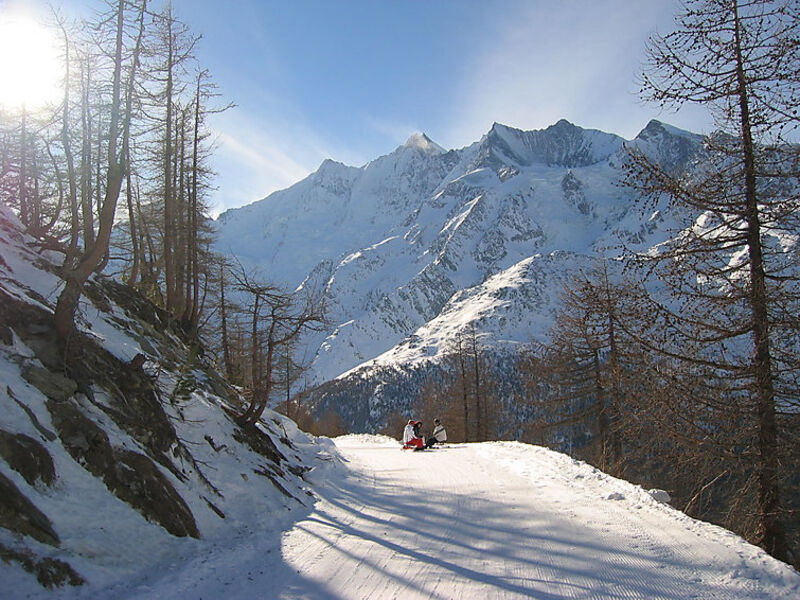 Haus Alpenstern, Wohnung Trift