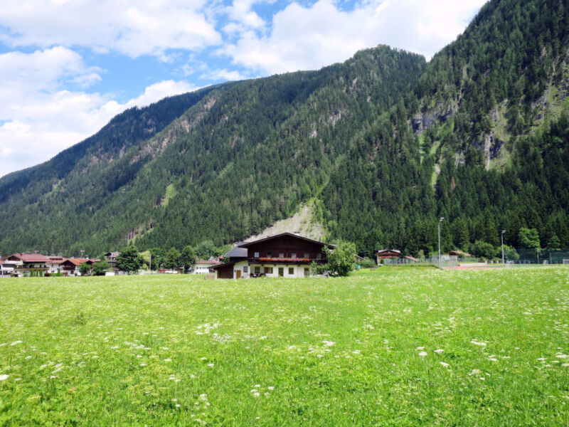 Haus Gredler (MHO250)