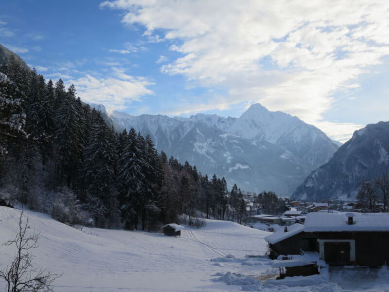 Haus Hanser (MHO754)