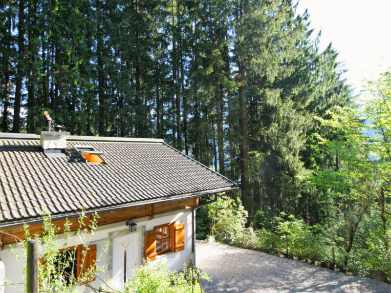 Im Wald