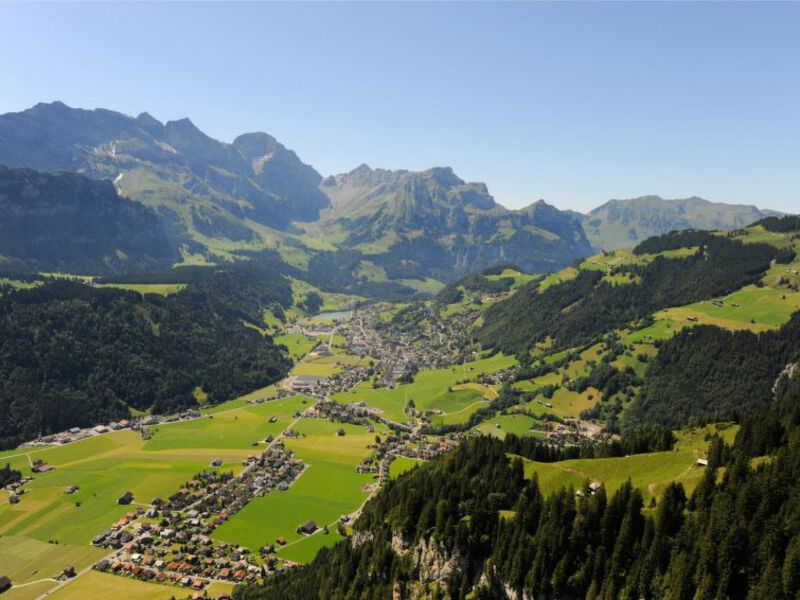 In der Erlen