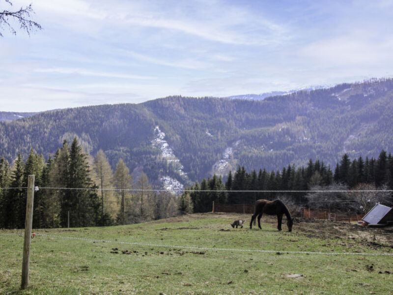 Kopphütte