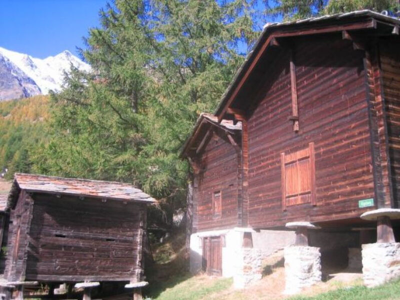 La Montanara