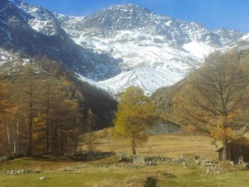 La Montanara