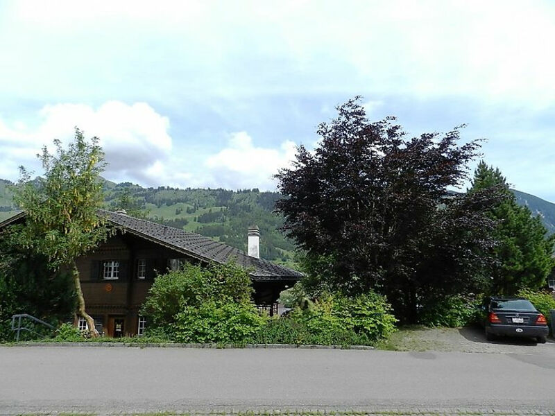 Larix