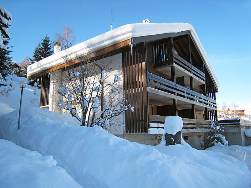Le Bosquet 18