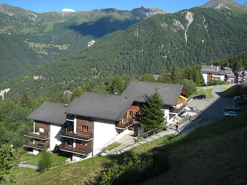 Les Arolles 704