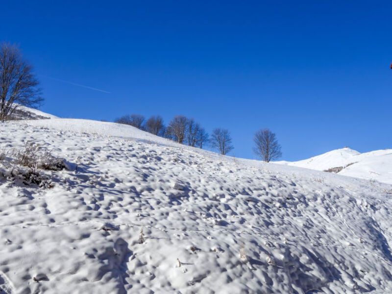 Les Pistes